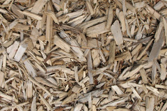 biomass boilers Rudheath Woods